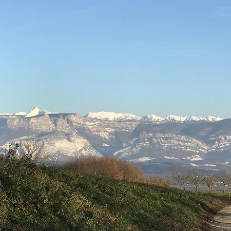 Gites&Chambres D Hotes Les Granges Du Fournel Saint-Lattier Eksteriør bilde
