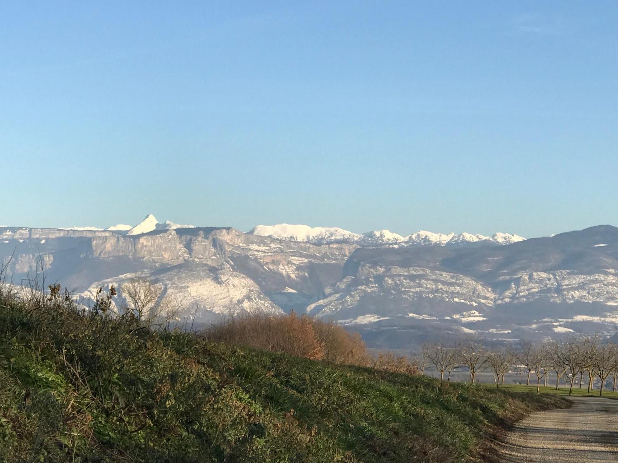 Gites&Chambres D Hotes Les Granges Du Fournel Saint-Lattier Eksteriør bilde
